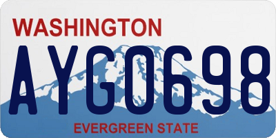 WA license plate AYG0698
