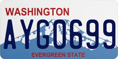 WA license plate AYG0699