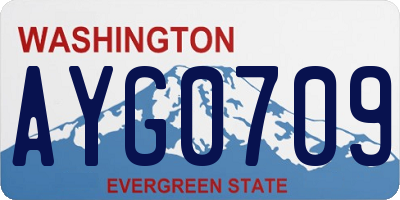 WA license plate AYG0709