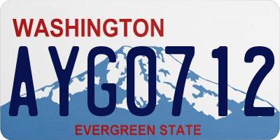 WA license plate AYG0712