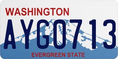 WA license plate AYG0713
