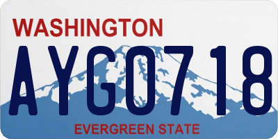 WA license plate AYG0718