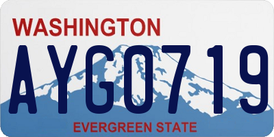 WA license plate AYG0719