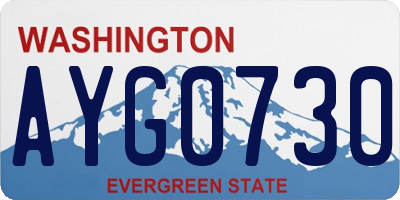WA license plate AYG0730