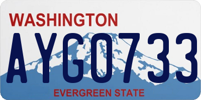 WA license plate AYG0733