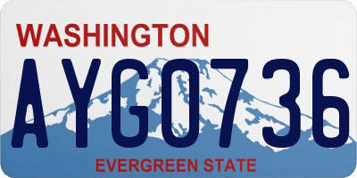 WA license plate AYG0736