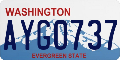 WA license plate AYG0737