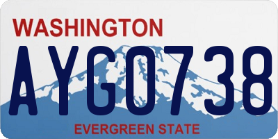 WA license plate AYG0738