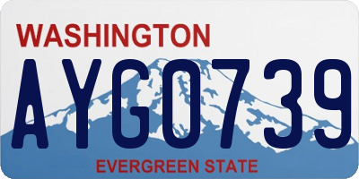 WA license plate AYG0739