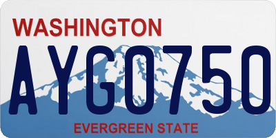 WA license plate AYG0750