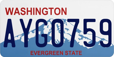 WA license plate AYG0759