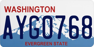 WA license plate AYG0768