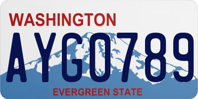 WA license plate AYG0789