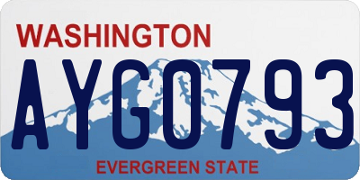WA license plate AYG0793