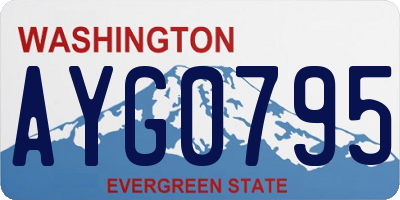 WA license plate AYG0795