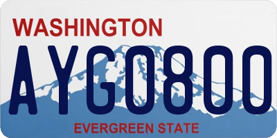WA license plate AYG0800