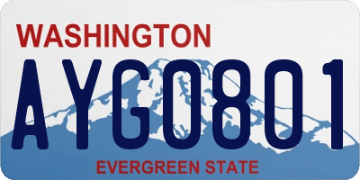 WA license plate AYG0801