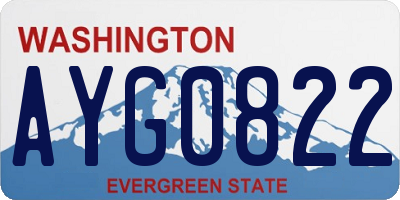 WA license plate AYG0822
