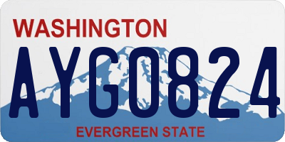WA license plate AYG0824