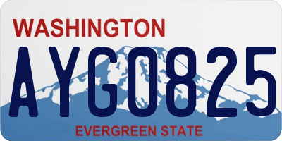 WA license plate AYG0825
