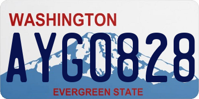 WA license plate AYG0828