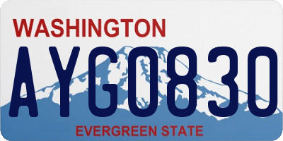WA license plate AYG0830
