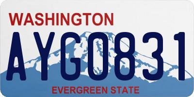 WA license plate AYG0831