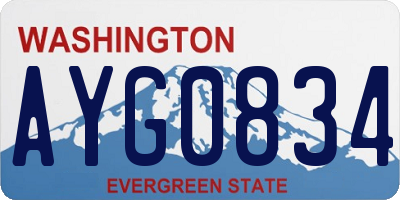 WA license plate AYG0834
