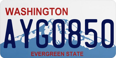 WA license plate AYG0850