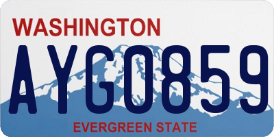 WA license plate AYG0859