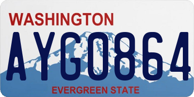 WA license plate AYG0864