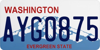 WA license plate AYG0875