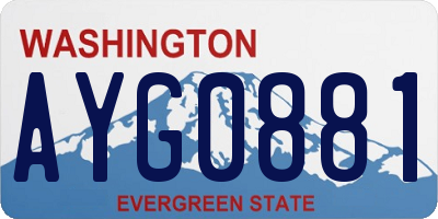 WA license plate AYG0881
