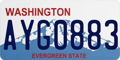 WA license plate AYG0883