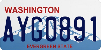 WA license plate AYG0891