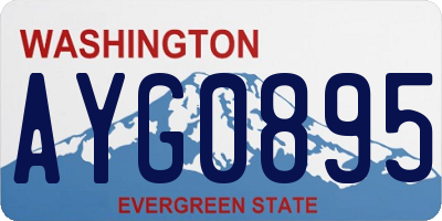 WA license plate AYG0895