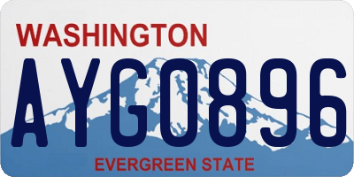 WA license plate AYG0896