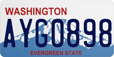 WA license plate AYG0898