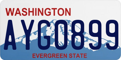 WA license plate AYG0899