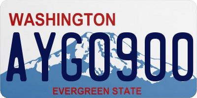 WA license plate AYG0900