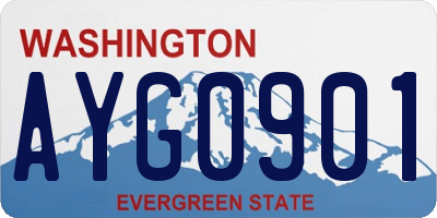 WA license plate AYG0901