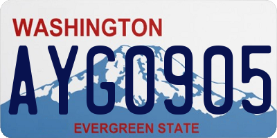 WA license plate AYG0905