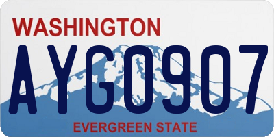 WA license plate AYG0907