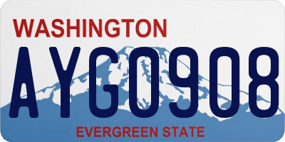 WA license plate AYG0908