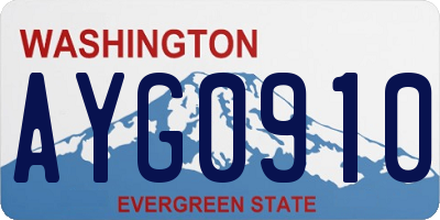 WA license plate AYG0910