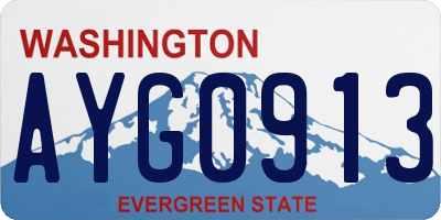 WA license plate AYG0913