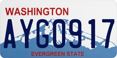 WA license plate AYG0917