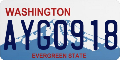 WA license plate AYG0918