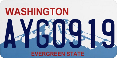 WA license plate AYG0919