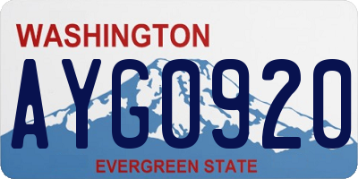 WA license plate AYG0920